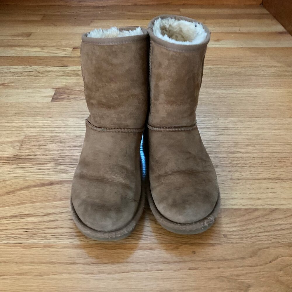 Classic Short Ugg Boots tan